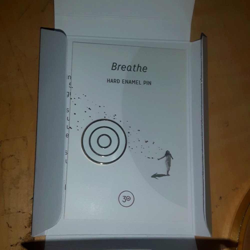 🍃 3 for 36 - NIB Mindfulness Reminder Pin